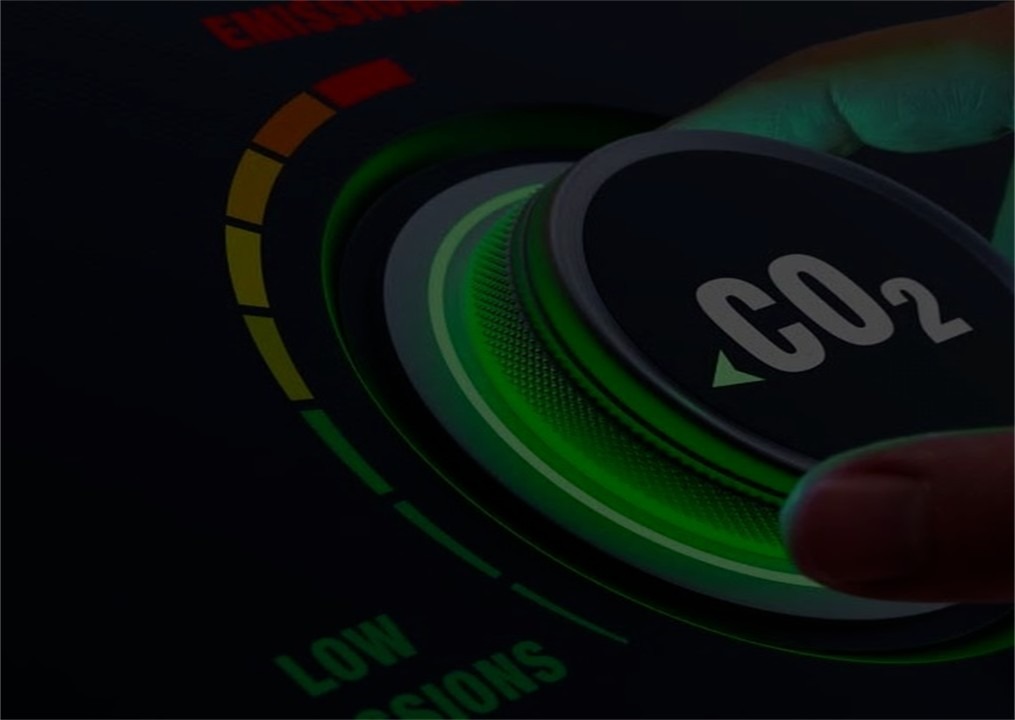 Waterships Organization