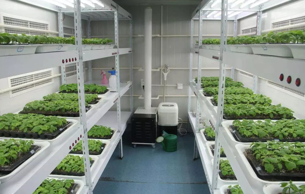 Waterships Organization