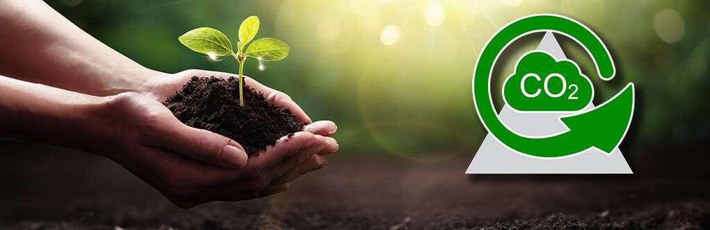 Waterships Organization