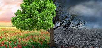 Waterships Organization