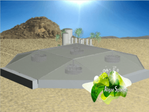 Waterships Organization